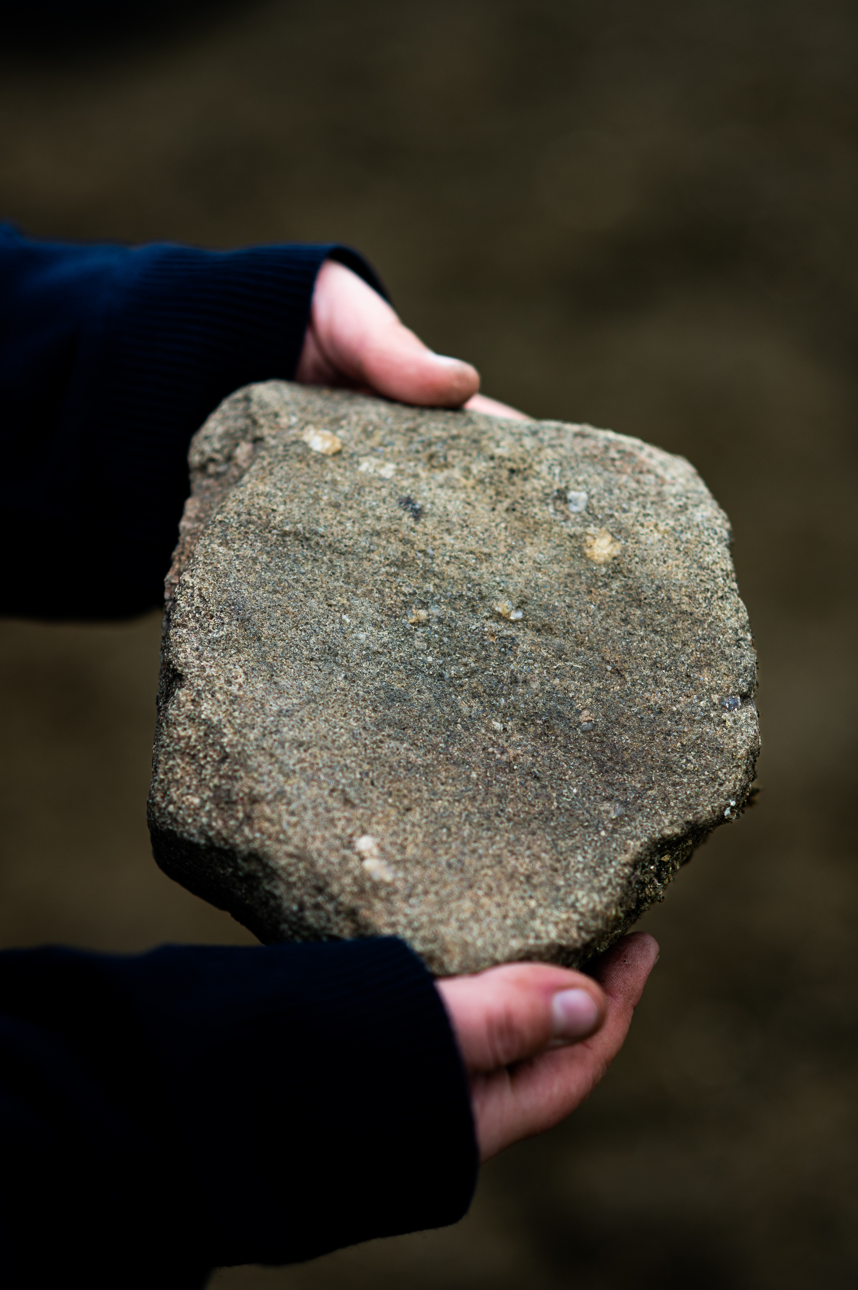 A close up photograph of an archaeologists hands holding a quern stone made of millstone grit, showing the grinding surface.