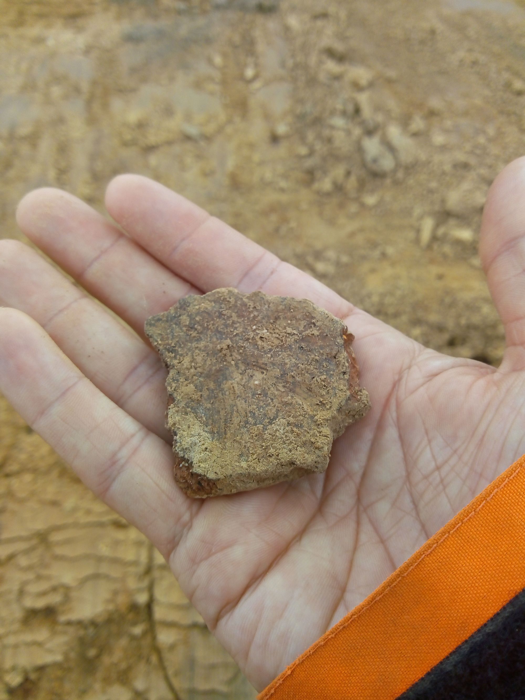 A small muddy piece of crude pottery is held in the hand of an archaeologist. 