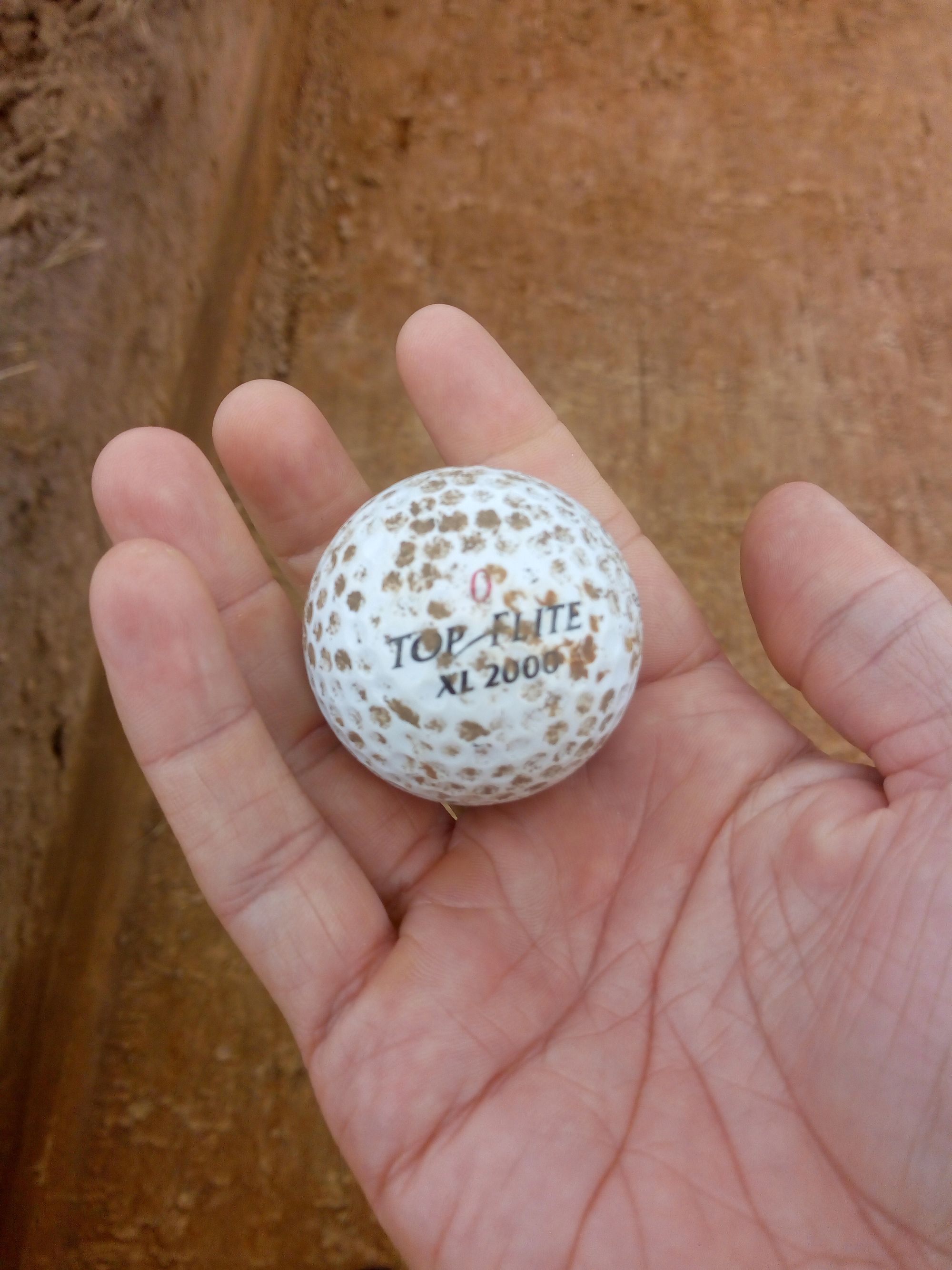A white golf ball held in the hand of an archaeologist.