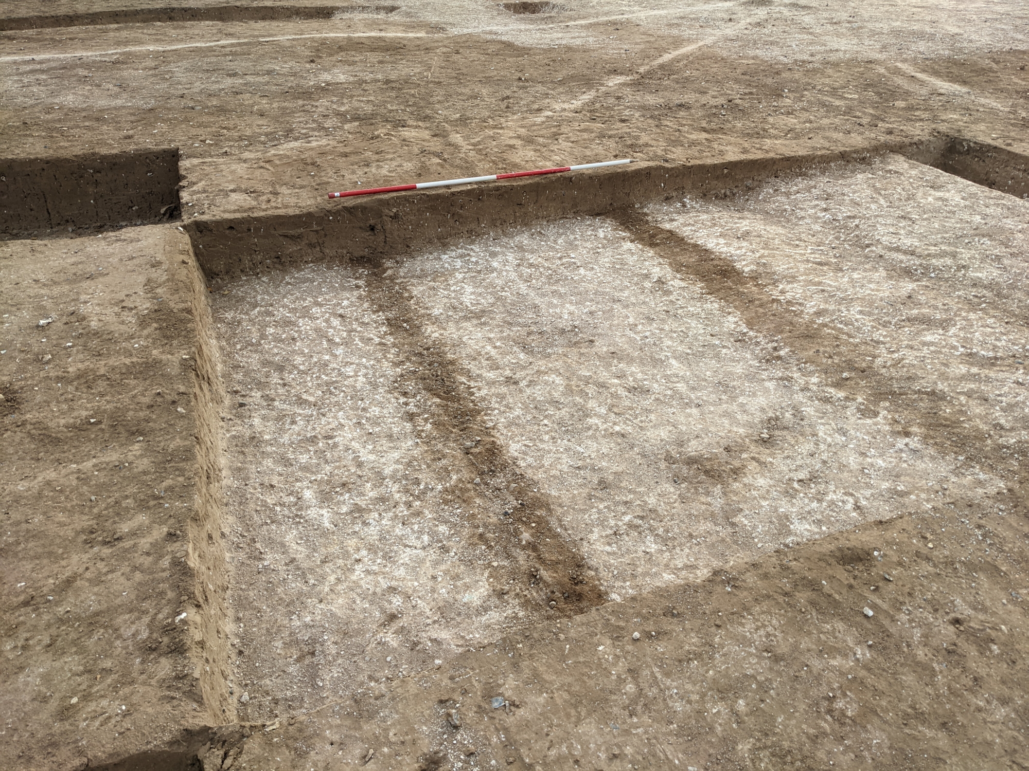 An archaeological trench showing parallel darker lines about 2m apart against the lighter chalk.