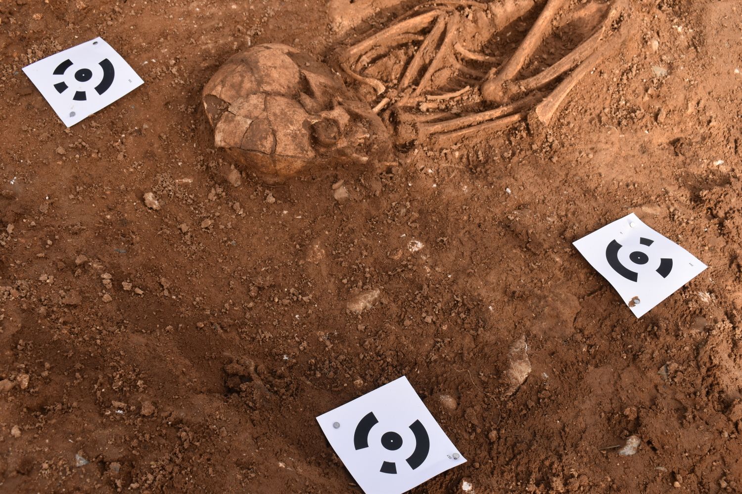 Black and white card targets on the ground beside a skeleton found in the barrow ditch.