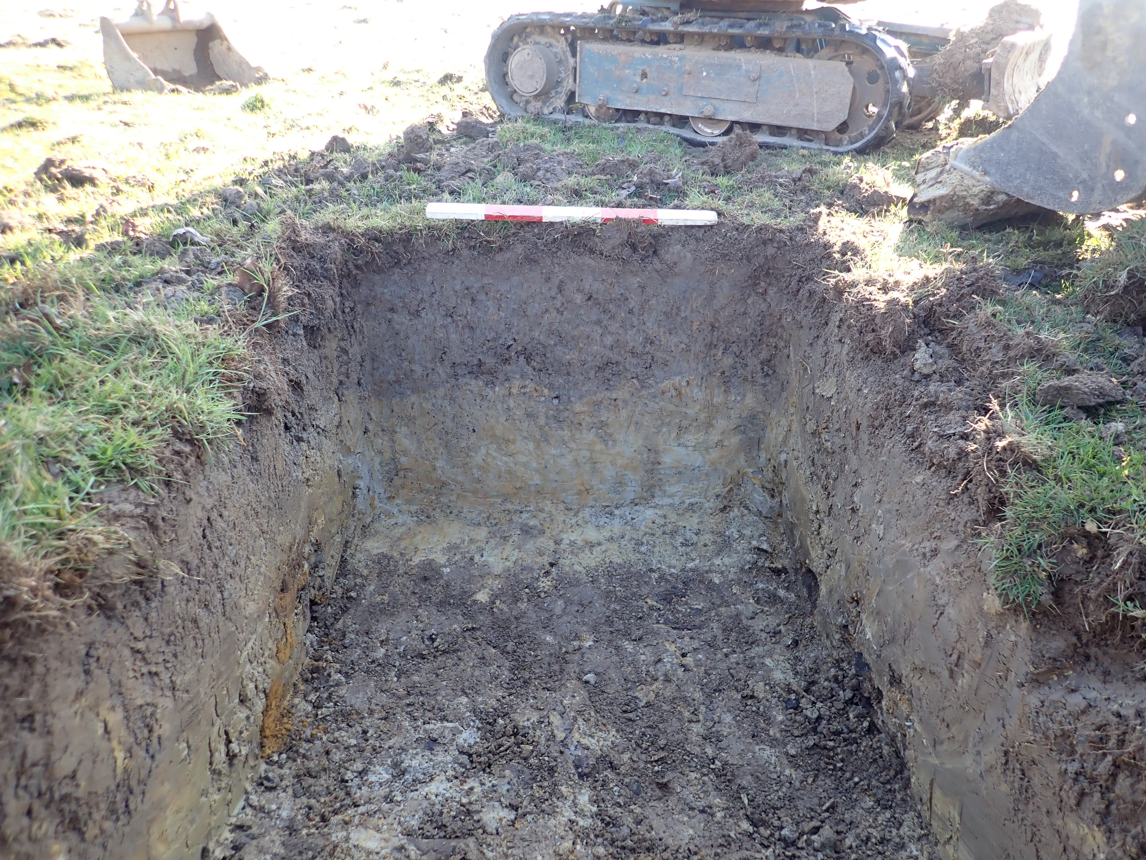 Trench section from Knepp