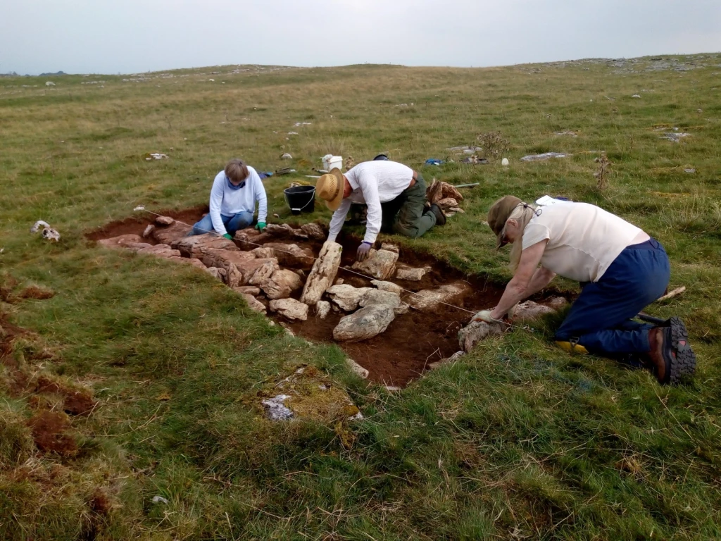 Excavating Trench 9, exposing the stones cleared from the adjacent field