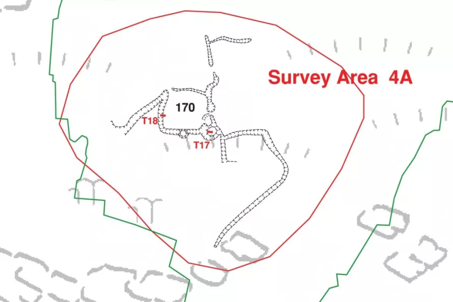 Site 4a as surveyed by the earlier detailed survey
