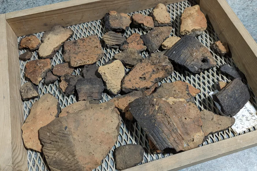 Sherds of prehistoric pottery, in shades of brown and black in a wooden finds tray.