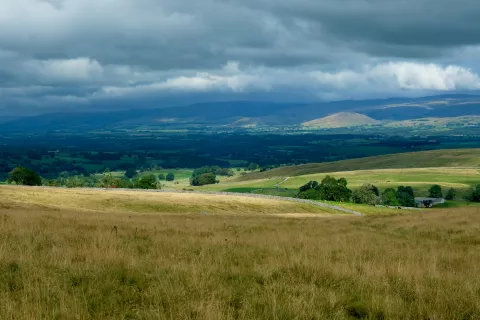 Landscape of Little Asby Common