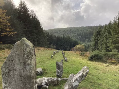 Fernworthy Stone Row in Devon (Credit: C. Rutter for the Forestry Commission)