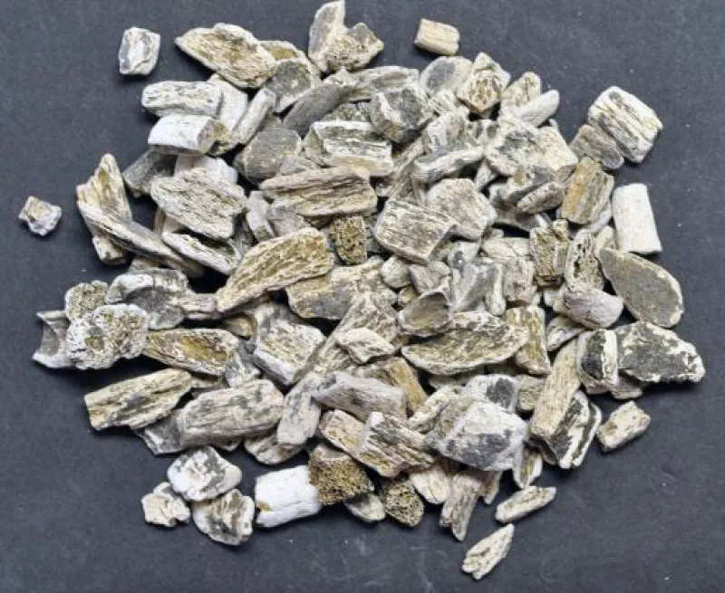a pile of human bone fragments