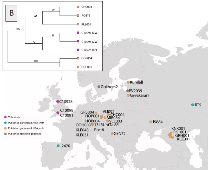 Map showing the distribution of LNBA and Neolithic Yersinia pestis strains.
