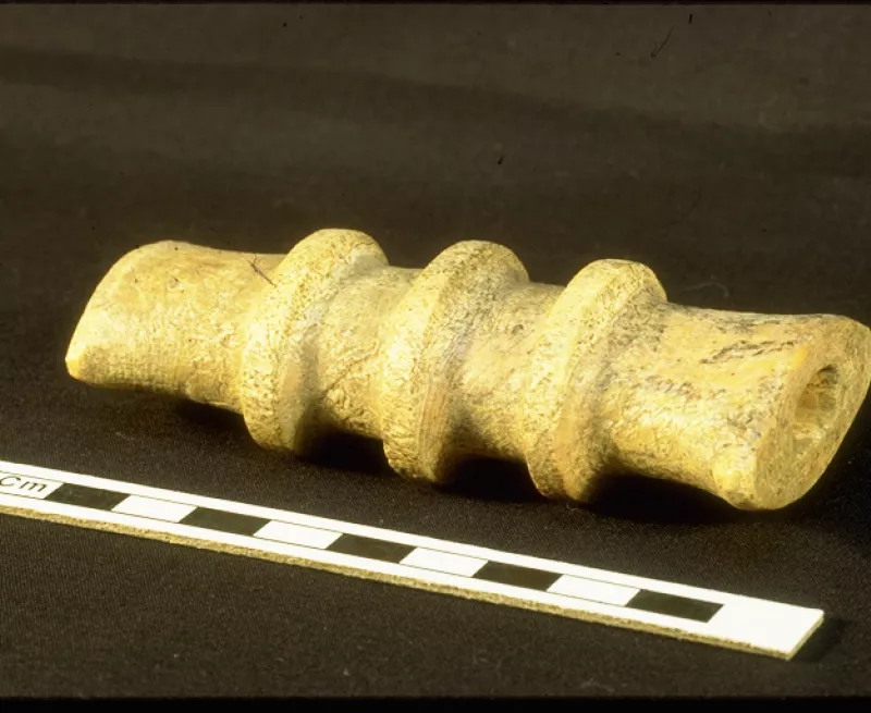 Image of a walrus ivory sword grip from the 9th or 10th century AD
