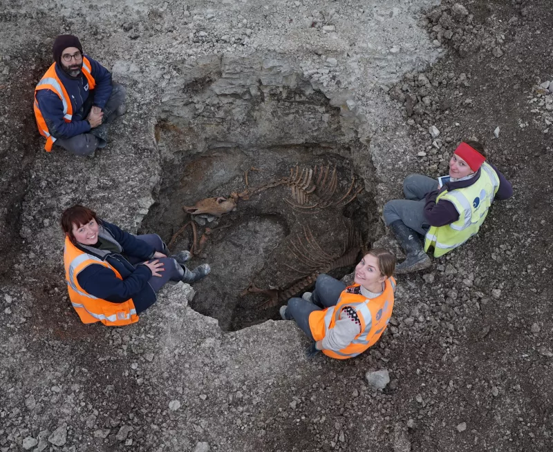 Aerial view of the team with the excavated horse burial 