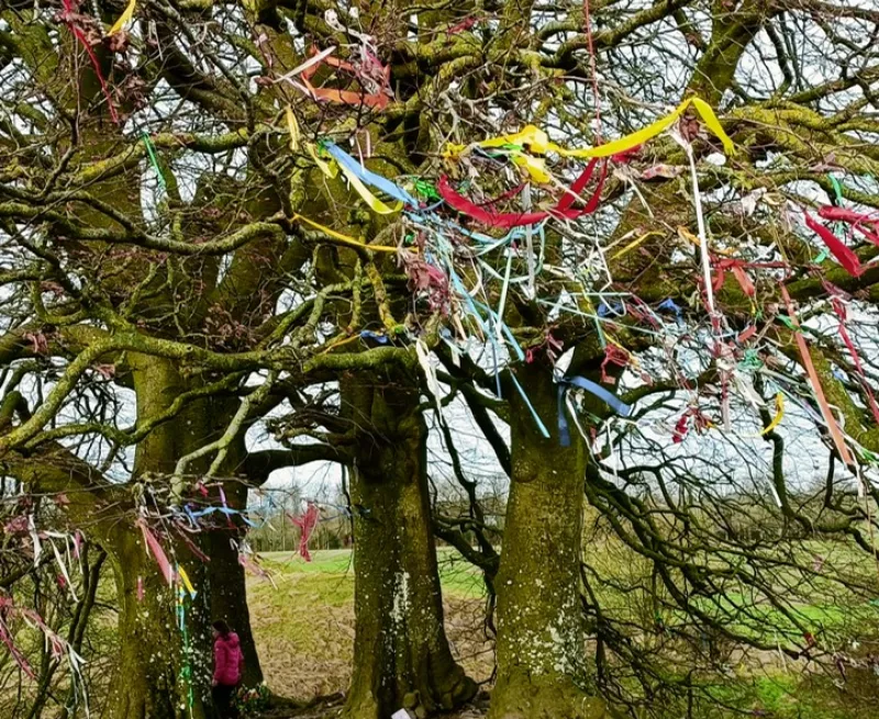 The clootie tree on the ramparts at Avebury World Heritage Site