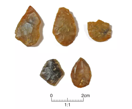 A selection of early Neolithic leaf-shaped arrowheads