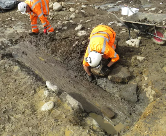 Archaeologists excavating a large timber plank