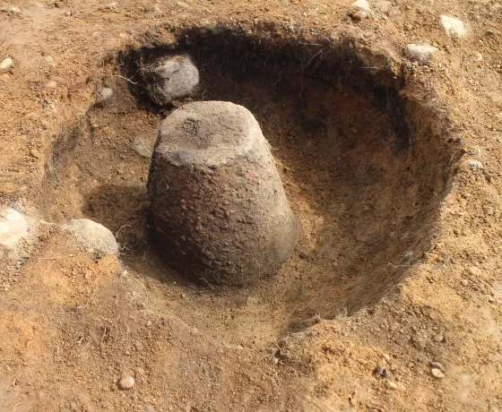 A Bronze Age cremation urn 