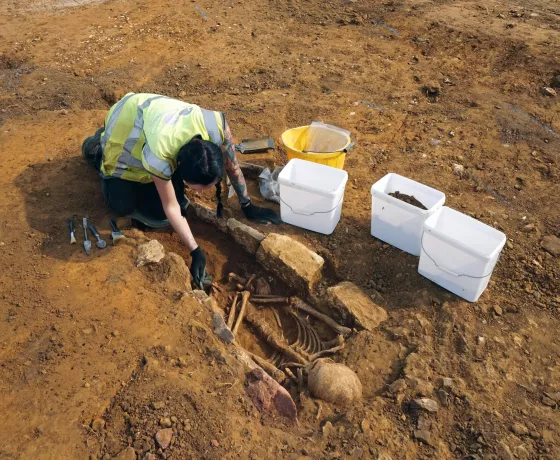 Excavation of a Roman stone-lined grave at Buckton Field, Northampton