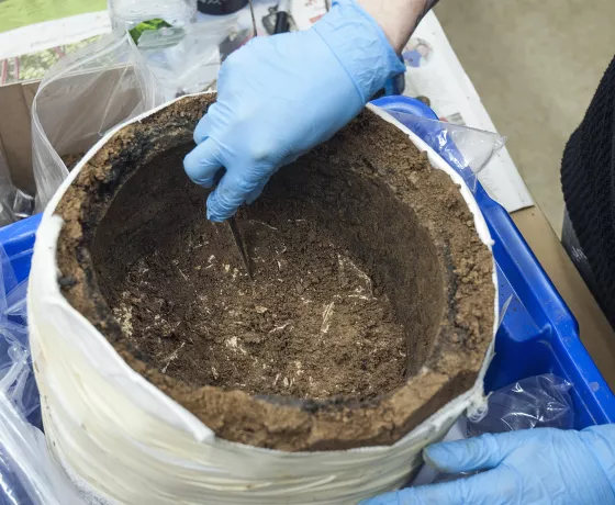 Excavating a cremation in the laboratory