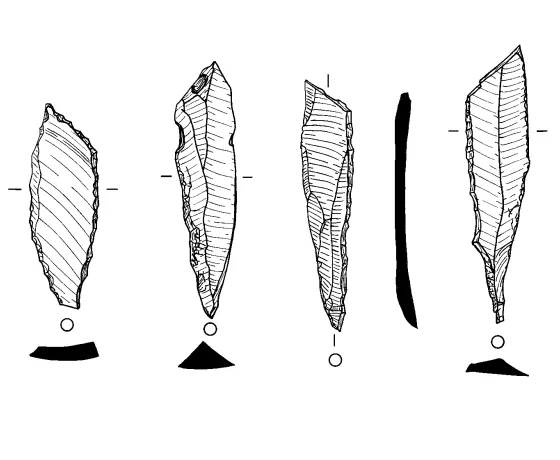 illustration of worked stone artefacts from the site