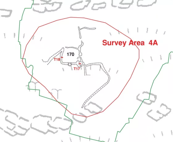 Site 4a as surveyed by the earlier detailed survey