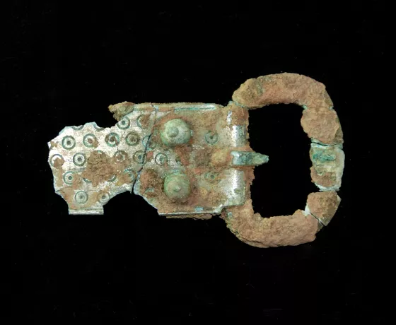 A tinned copper-alloy buckle from Grave 2, part of a group of belt in Cumbria suggesting they were manufactured somewhere locally. The buckle also preserved seal skin fur under the buckle plate, probably from the belt or garment the buckle was attached to.