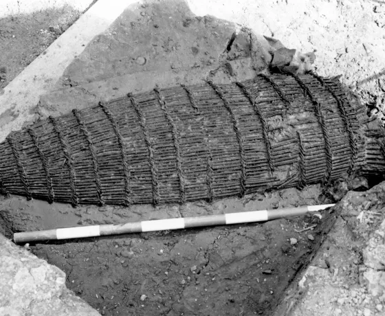 A fish trap found during the excavations of the moat.
