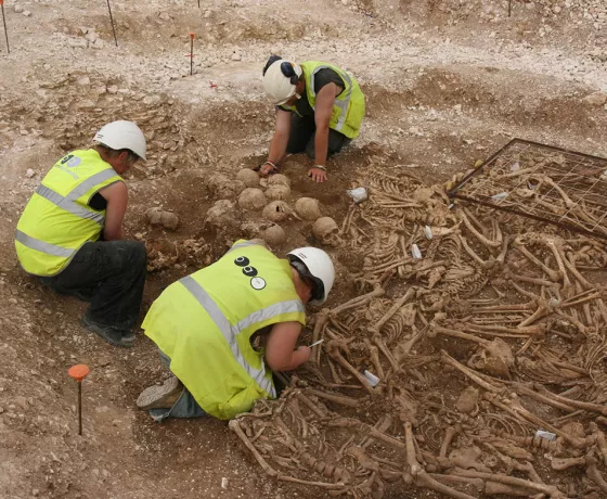 The OA team excavating the Dorset Ridgeway mass grave