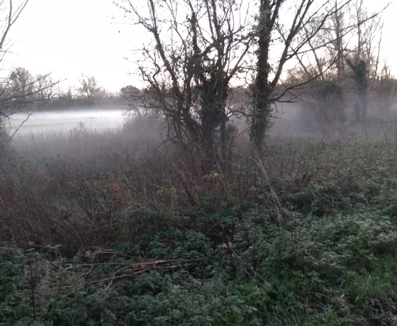 A view across the fields along Willow Walk Oxford