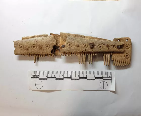Bone comb decorated with dot and ring motif.